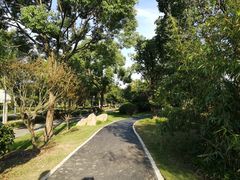 -新江湾城公园