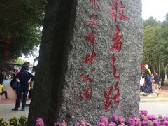 -广东茂名森林公园