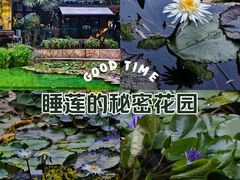 -静安公园(静安寺街道)