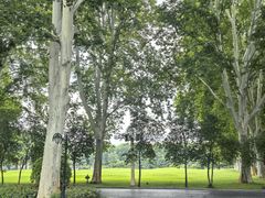 -河南省黄河迎宾馆