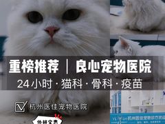 -萌兽医馆·宠物医院·猫骨科(创景店)