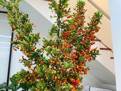 -森野花艺培训·企业团建活动沙龙