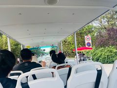 -日照海滨国家森林公园