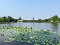 -西海子公园