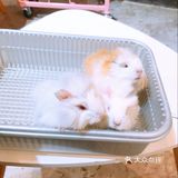 86.39元带孩子来与萌宠互动吧