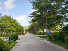 -亚龙湾国际玫瑰谷