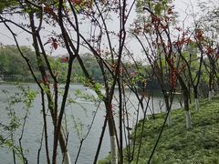 -重庆彩云湖湿地公园
