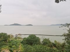 -上海市保健医疗中心