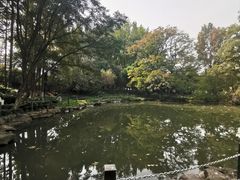 -瀛洲公园