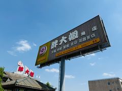 -胖大姐黄辣丁鱼庄(新津店)