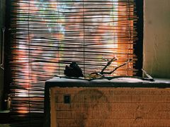 -斯多格书乡(北京大学畅春园店)