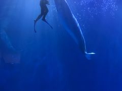 -多彩贵州城极地海洋世界