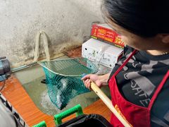 -古城苗家土菜馆(河景餐厅店)