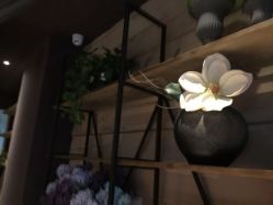 -花隐瑜伽·普拉提·红绳