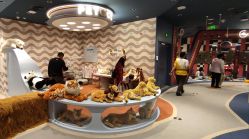 -奈尔宝家庭中心·亲子餐厅(北京东坝万达店)