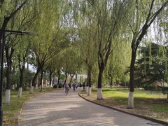 -太阳宫公园