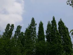 -秀丽东方