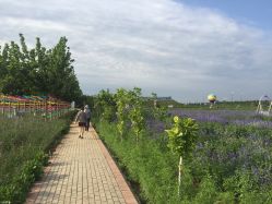 -完美新娘婚纱摄影