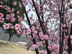 -采石矶景区
