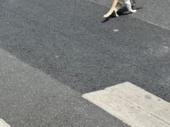 -鸿山公园