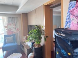 -和伊母婴护理中心·全套房(金山店)