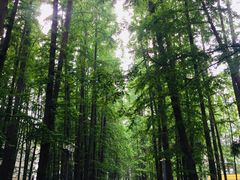 门面-同济大学-北苑食堂