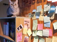 -隅cafe(傅厚岗店)
