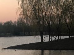 -东郊湿地公园