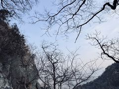 -北京鹫峰国家森林公园