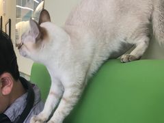 -美迦爱-牙专科·兔科·骨科诊疗中心(北苑店)