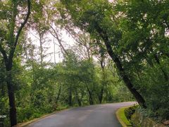 -大蜀山国家森林公园