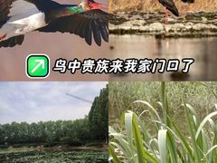 -云岗森林公园