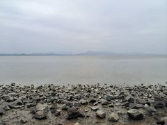 -深圳湾公园(南山区)
