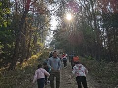 -青龙山国家森林公园