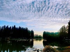 -艾溪湖湿地公园