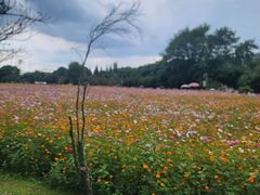 -贵阳市花溪国家城市湿地公园