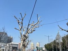 -上海长风大悦城