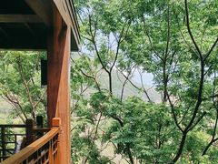 -三亚亚龙湾人间天堂鸟巢度假村