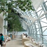 尽显建筑之美｜Intercontinental 重庆洲际