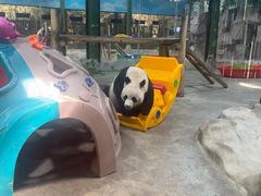 -栾川竹海野生动物园