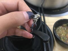 -为什么牛潮汕牛肉火锅(万胜广场店)