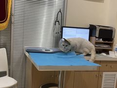 -美迦爱-牙专科·兔科·骨科诊疗中心(北苑店)