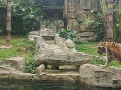 -深圳野生动物园