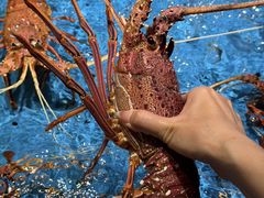-徐记海鲜(大雁塔|金都店)