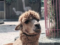 -苏州太湖西山岛开心农场