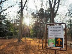 -三鹰之森吉卜力美术馆