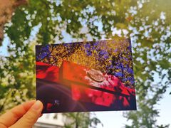 -第二外国语学院-韩国餐厅(朝阳路店)