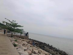 -福田红树林生态公园