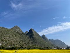 -万峰林风景区
