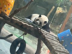 -青藏高原野生动物园